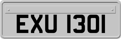 EXU1301