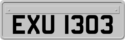 EXU1303