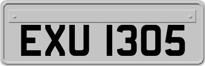 EXU1305