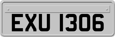 EXU1306