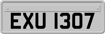 EXU1307