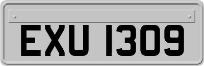 EXU1309