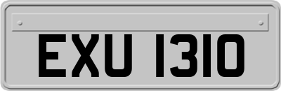 EXU1310