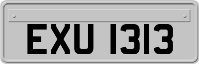 EXU1313