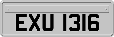 EXU1316