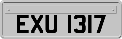 EXU1317