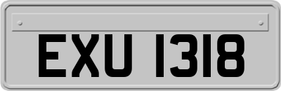 EXU1318