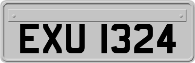 EXU1324
