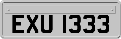 EXU1333