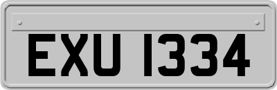 EXU1334