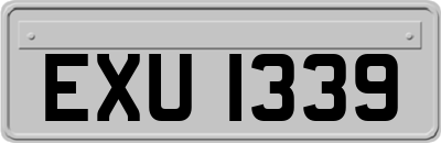 EXU1339