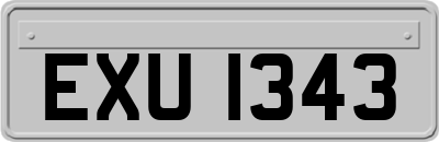 EXU1343