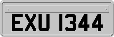 EXU1344