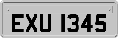 EXU1345
