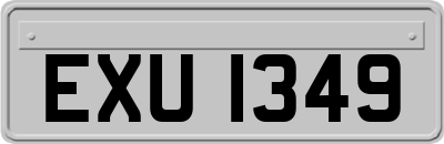 EXU1349