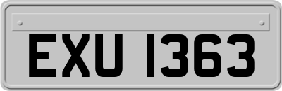 EXU1363