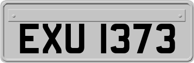 EXU1373