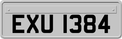 EXU1384