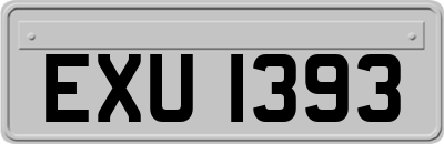 EXU1393
