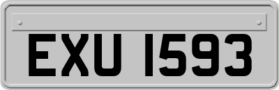 EXU1593