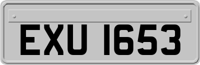 EXU1653