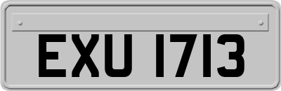 EXU1713