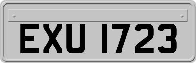 EXU1723