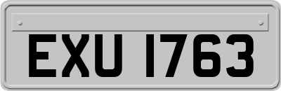 EXU1763
