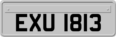 EXU1813