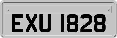 EXU1828