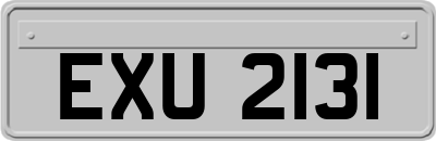 EXU2131