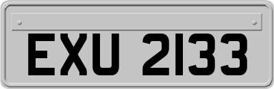 EXU2133