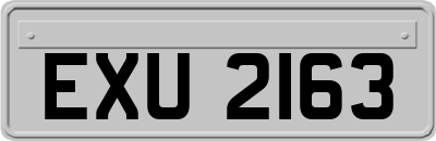 EXU2163
