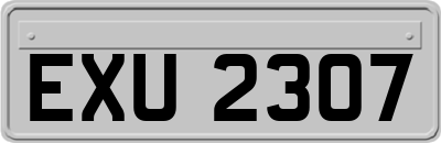 EXU2307