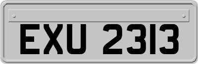 EXU2313
