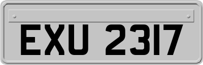EXU2317