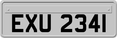EXU2341