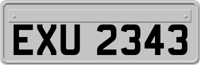 EXU2343