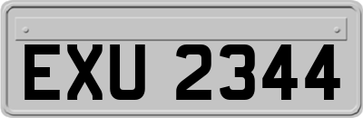 EXU2344