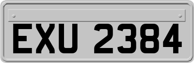 EXU2384