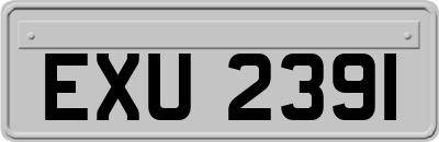 EXU2391