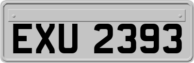 EXU2393