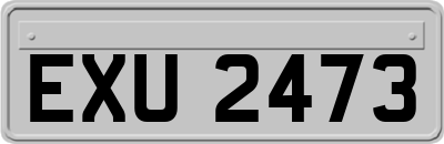 EXU2473