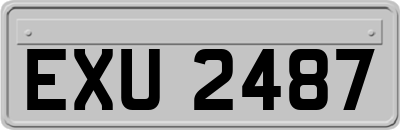 EXU2487