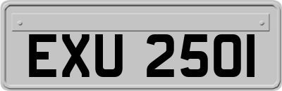 EXU2501