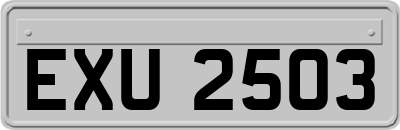 EXU2503