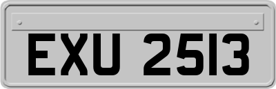 EXU2513