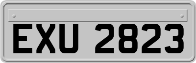 EXU2823