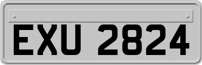 EXU2824