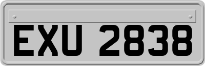 EXU2838